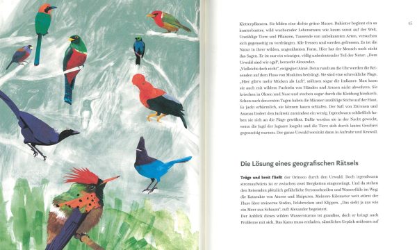 Alexander von Humboldt Verkauf – Bild 5