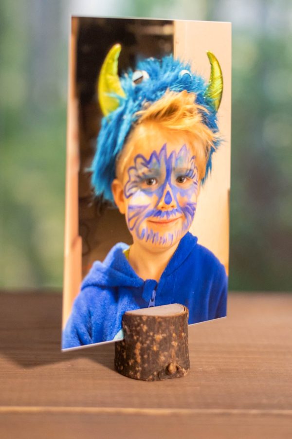 Foto auf Holzstämmchen mit Zertifikat Im Angebot