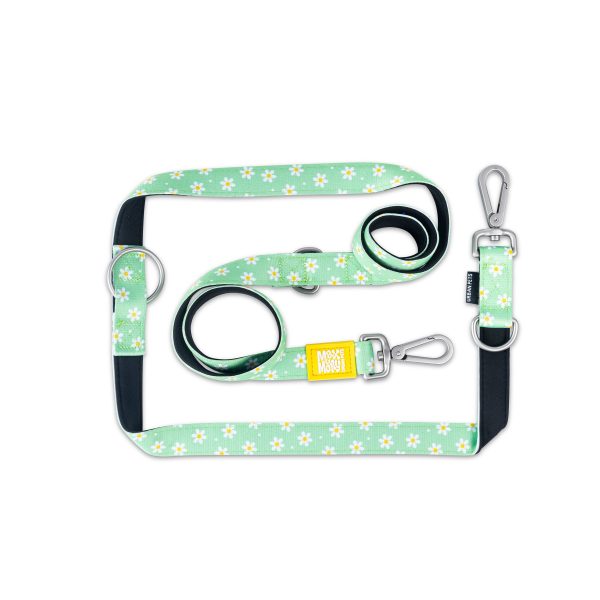 Multi Function Leash - Margarite Jetzt online