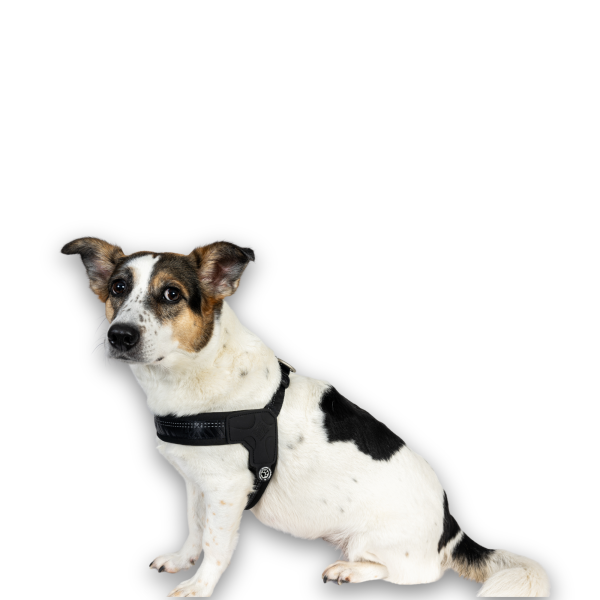 GOTCHA! Smart ID Q-Fit Harness - Matrix 2.0 Black Mode – Bild 4