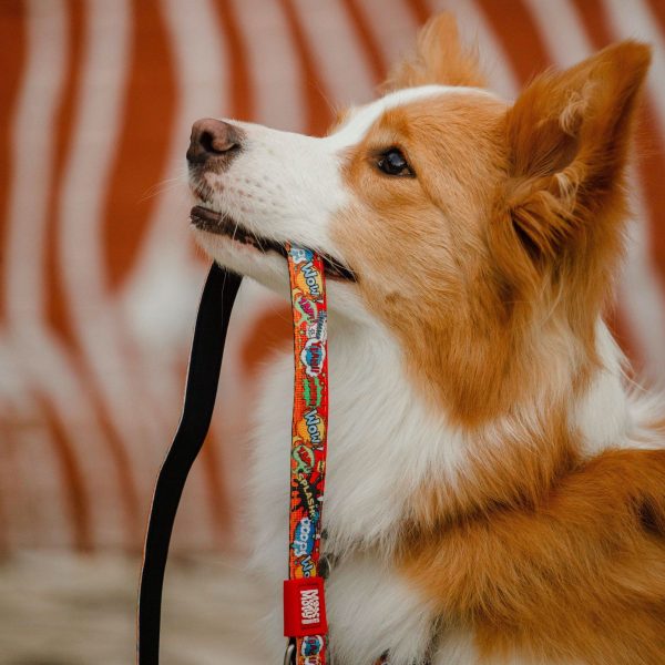 Short Leash - Heroes Jetzt online – Bild 5