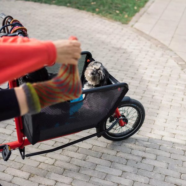 Muli Motor st pro nightride Cargo Bike Riemenantrieb Im Angebot – Bild 4