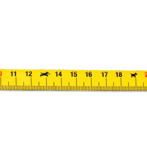 Multi Function Leash - Ruler Im Angebot – Bild 4