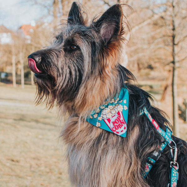 Bandana - Popcorn Rabatt – Bild 2