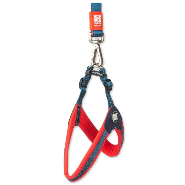 Q-Fit Harness Red Online-Verkauf – Bild 3
