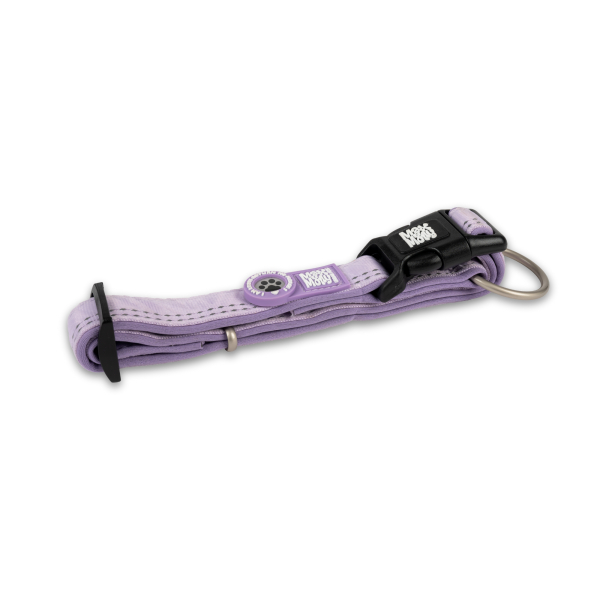 GOTCHA! Smart ID Collar - Matrix 2.0 Lavender Schn?ppchen – Bild 2