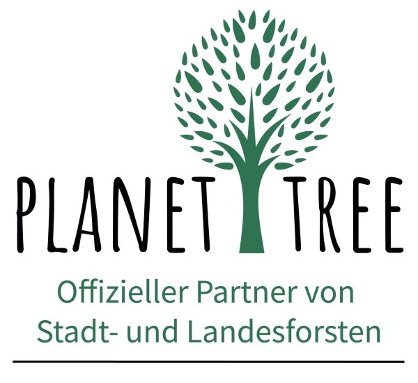 Baumspende in deutschem Forst mit Zertifikat - Digitale Downloadversion - zusammen mit sevDesk Im Angebot – Bild 3