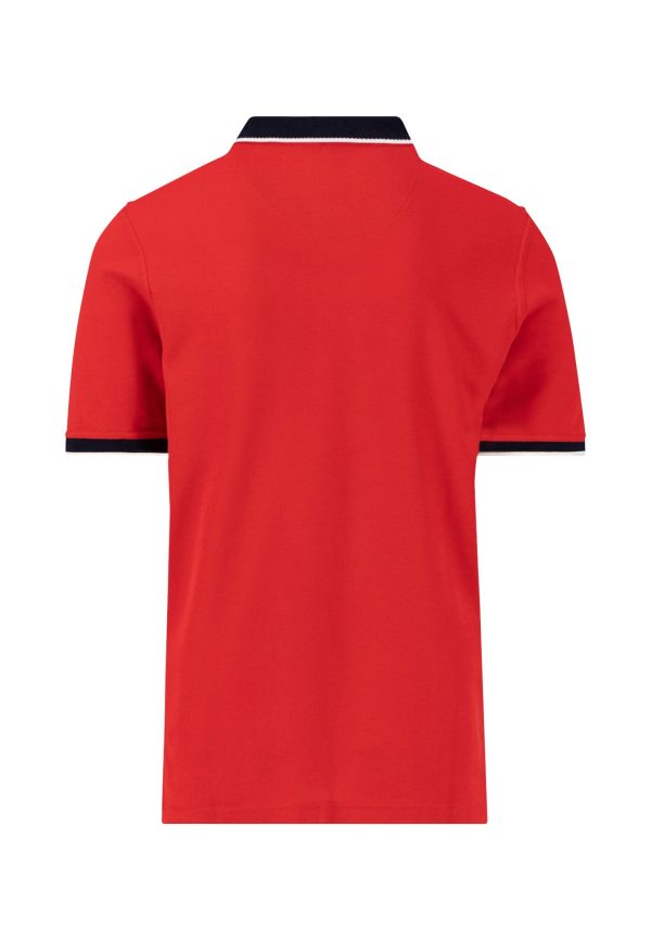 Poloshirt aus Baumwolle mit farbig abgesetztem Kragen Rabatt – Bild 2