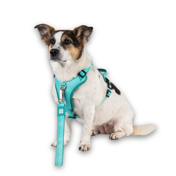 GOTCHA! Smart ID Sport Harness - Matrix 2.0 Turquoise Mode – Bild 5