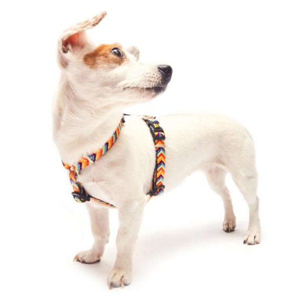 H-Harness - Summertime Zu verkaufen – Bild 5