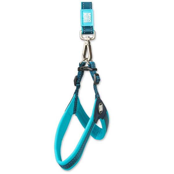 Q-Fit Harness Sky Blue Rabatt – Bild 2