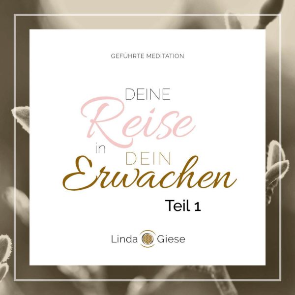 Geführte Meditation (1 4). Deine Reise in Dein Erwachen (Download) Angebot