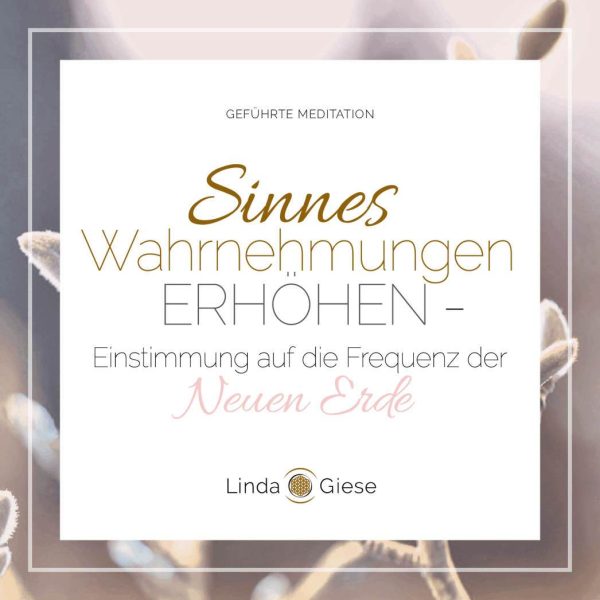 Geführte Meditation. Sinneswahrnehmungen erhöhen (Download) Jetzt online